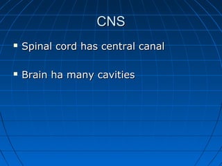 CNSCNS
 Spinal cord has central canalSpinal cord has central canal
 Brain ha many cavitiesBrain ha many cavities
 