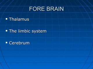 FORE BRAINFORE BRAIN
 ThalamusThalamus
 The limbic systemThe limbic system
 CerebrumCerebrum
 