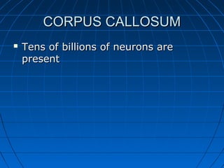CORPUS CALLOSUMCORPUS CALLOSUM
 Tens of billions of neurons areTens of billions of neurons are
presentpresent
 
