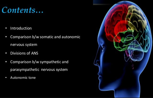 autonomic nervous system