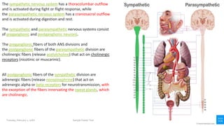 Autonomic Nervous System-2-1.pptx