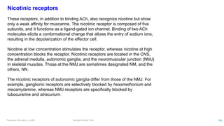 Autonomic Nervous System-2-1.pptx