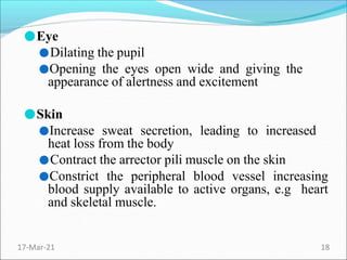 ●Eye
●Dilating the pupil
●Opening the eyes open wide and giving the
appearance of alertness and excitement
●Skin
●Increase sweat secretion, leading to increased
heat loss from the body
●Contract the arrector pili muscle on the skin
●Constrict the peripheral blood vessel increasing
blood supply available to active organs, e.g heart
and skeletal muscle.
17-Mar-21 18
 