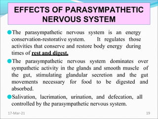 ●The parasympathetic nervous system is an energy
conservation-restorative system. It regulates those
activities that conserve and restore body energy during
times of rest and digest.
●The parasympathetic nervous system dominates over
sympathetic activity in the glands and smooth muscle of
the gut, stimulating glandular secretion and the gut
movements necessary for food to be digested and
absorbed.
●Salivation, lacrimation, urination, and defecation, all
controlled by the parasympathetic nervous system.
EFFECTS OF PARASYMPATHETIC
NERVOUS SYSTEM
17-Mar-21 19
 