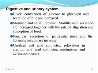 Digestive and urinary system
●Liver: conversion of glucose to glycogen and
secretion of bile are increased.
●Stomach and small intestine: Motility and secretion
are increased together with the rate of digestion and
absorption of food.
●Pancreas: secretion of pancreatic juice and the
hormone insulin are increase.
●Urethral and anal sphincter: relaxation in
urethral and anal sphincter, micturition and
defecation occurs.
17-Mar-21 21
 