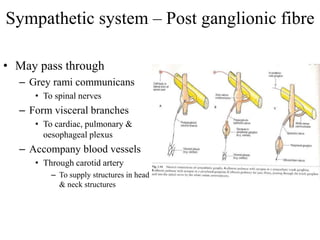 Autonomic nervous system | PPT