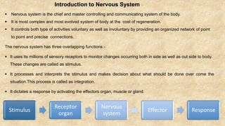 Introduction to Nervous System
 Nervous system is the chief and master controlling and communicating system of the body.
 It is most complex and most evolved system of body at the cost of regeneration.
 It controls both type of activities voluntary as well as involuntary by providing an organized network of point
to point and precise connections.
The nervous system has three overlapping functions -
 It uses its millions of sensory receptors to monitor changes occurring both in side as well as out side to body.
These changes are called as stimulus.
 It processes and interprets the stimulus and makes decision about what should be done over come the
situation.This process is called as integration.
 It dictates a response by activating the effectors organ, muscle or gland.
Stimulus
Receptor
organ
Nervous
system
Effector Response
 