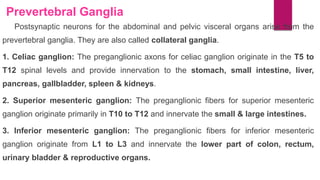 Prevertebral Ganglia
Postsynaptic neurons for the abdominal and pelvic visceral organs arise from the
prevertebral ganglia. They are also called collateral ganglia.
1. Celiac ganglion: The preganglionic axons for celiac ganglion originate in the T5 to
T12 spinal levels and provide innervation to the stomach, small intestine, liver,
pancreas, gallbladder, spleen & kidneys.
2. Superior mesenteric ganglion: The preganglionic fibers for superior mesenteric
ganglion originate primarily in T10 to T12 and innervate the small & large intestines.
3. Inferior mesenteric ganglion: The preganglionic fibers for inferior mesenteric
ganglion originate from L1 to L3 and innervate the lower part of colon, rectum,
urinary bladder & reproductive organs.
 