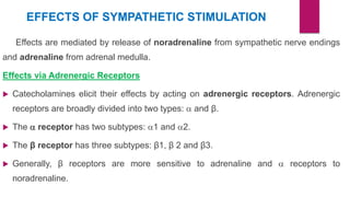EFFECTS OF SYMPATHETIC STIMULATION
Effects are mediated by release of noradrenaline from sympathetic nerve endings
and adrenaline from adrenal medulla.
Effects via Adrenergic Receptors
 Catecholamines elicit their effects by acting on adrenergic receptors. Adrenergic
receptors are broadly divided into two types:  and β.
 The  receptor has two subtypes: 1 and 2.
 The β receptor has three subtypes: β1, β 2 and β3.
 Generally, β receptors are more sensitive to adrenaline and  receptors to
noradrenaline.
 