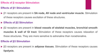 Effects of β receptor Stimulation
Effects of β1 Stimulation
 β1 receptors are present in SA node, AV node and ventricular muscle. Stimulation
of these receptors causes excitation of these structures.
 Effects of β2 Stimulation
 β2 receptors are present in blood vessels of skeletal muscles, bronchial smooth
muscles & wall of GI tract. Stimulation of these receptors causes relaxation of
these structures. They are more sensitive to adrenaline than noradrenaline.
Effects of β3 Stimulation
 β3 receptors are present in adipose tissues. Stimulation of these receptors causes
lipolysis.
 