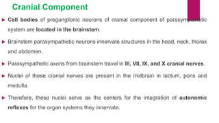 Cranial Component
 Cell bodies of preganglionic neurons of cranial component of parasympathetic
system are located in the brainstem.
 Brainstem parasympathetic neurons innervate structures in the head, neck, thorax
and abdomen.
 Parasympathetic axons from brainstem travel in III, VII, IX, and X cranial nerves.
 Nuclei of these cranial nerves are present in the midbrain in tectum, pons and
medulla.
 Therefore, these nuclei serve as the centers for the integration of autonomic
reflexes for the organ systems they innervate.
 