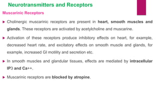 Neurotransmitters and Receptors
Muscarinic Receptors
 Cholinergic muscarinic receptors are present in heart, smooth muscles and
glands. These receptors are activated by acetylcholine and muscarine.
 Activation of these receptors produce inhibitory effects on heart, for example,
decreased heart rate, and excitatory effects on smooth muscle and glands, for
example, increased GI motility and secretion etc.
 In smooth muscles and glandular tissues, effects are mediated by intracellular
IP3 and Ca++.
 Muscarinic receptors are blocked by atropine.
 