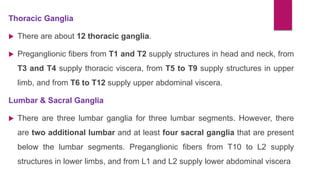 Thoracic Ganglia
 There are about 12 thoracic ganglia.
 Preganglionic fibers from T1 and T2 supply structures in head and neck, from
T3 and T4 supply thoracic viscera, from T5 to T9 supply structures in upper
limb, and from T6 to T12 supply upper abdominal viscera.
Lumbar & Sacral Ganglia
 There are three lumbar ganglia for three lumbar segments. However, there
are two additional lumbar and at least four sacral ganglia that are present
below the lumbar segments. Preganglionic fibers from T10 to L2 supply
structures in lower limbs, and from L1 and L2 supply lower abdominal viscera
 