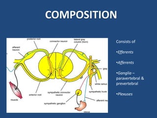 COMPOSITION
Consists of
•Efferents
•Afferents
•Ganglia –
paravertebral &
prevertebral
•Plexuses
 