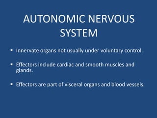 AUTONOMIC NERVOUS
SYSTEM
 Innervate organs not usually under voluntary control.
 Effectors include cardiac and smooth muscles and
glands.
 Effectors are part of visceral organs and blood vessels.
 