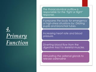 4.
Primary
Function
The thoracolumbar outflow is
responsible for the "fight or flight"
response.
It prepares the body for emergency
or high-stress situations by: Dilating
pupils and bronchial tubes.
Increasing heart rate and blood
pressure.
Diverting blood flow from the
digestive tract to skeletal muscles.
Stimulating the adrenal glands to
release adrenaline
 
