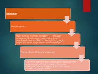 Distribution:
Postganglionic:
Fibers from all thoracic ganglia (T1–T12) supply
cutaneous blood vessels, sweat glands, and
arrector pili muscles. The 2nd through 5th ganglia
supply the heart, lungs, aorta, and esophagus.
Preganglionic (Splanchnic Nerves):
The lower eight thoracic ganglia provide fibers that
pass through without synapsing to supply
abdominal viscera:Greater splanchnic nerve:
Formed by ganglia T5–T9.
 