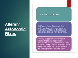 Afferent
Autonomic
Fibres
1. Structure and Function:
Cell Type: These fibres are the
peripheral processes of pseudo-
unipolar cells located in specific
cranial and spinal nerve ganglia.
Sensory Triggers: Unlike external
senses, these are specifically
sensitive to stretch, ischaemia (lack
of blood flow), and distension. These
sensations are what often lead to
the perception of visceral pain.
 