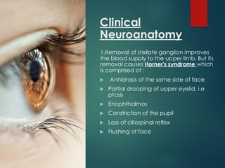 Clinical
Neuroanatomy
1.Removal of stellate ganglion improves
the blood supply to the upper limb. But its
removal causes Horner's syndrome which
is comprised of :
 Anhidrosis of the same side of face
 Partial drooping of upper eyelid, i.e
ptosis
 Enophthalmos
 Constriction of the pupil
 Loss of ciliospinal reflex
 Flushing of face
 
