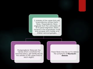2. Arteries of the upper limb are
innervated by sympa thetic
fibres. Preganglionic fibres
originate from the cell bodies of
T2-T5 spinal segments. Fibres
ascend in the sympathetic trunk
and synapse with middle and
inferior cervical ganglia.
Postganglionic fibres join the
nerves which constitute the
brachial plexus. get distributed to
the arteries of the upper limbi in
each region.
These fibres may be cut to relieve
the symptoms of Raynaud's
disease.
 