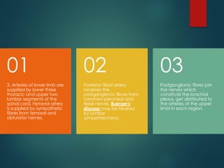 3. Arteries of lower limb are
supplied by lower three
thoracic and upper two
lumbar segments of the
spinal cord. Femoral artery
is supplied by sympathetic
fibres from femoral and
obturator nerves.
01
Posterior tibial artery
receives the
postganglionic fibres from
common peroneal and
tibial nerves. Buerger's
disease may be treated
by lumbar
sympathectomy.
02
Postganglionic fibres join
the nerves which
constitute the brachial
plexus. get distributed to
the arteries of the upper
limbi in each region.
03
 