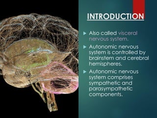 INTRODUCTION
 Also called visceral
nervous system.
 Autonomic nervous
system is controlled by
brainstem and cerebral
hemispheres.
 Autonomic nervous
system comprises
sympathetic and
parasympathetic
components.
 