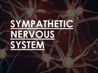 SYMPATHETIC
NERVOUS
SYSTEM
 