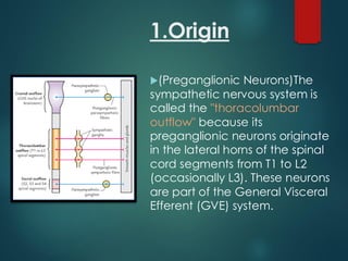 1.Origin
(Preganglionic Neurons)The
sympathetic nervous system is
called the "thoracolumbar
outflow" because its
preganglionic neurons originate
in the lateral horns of the spinal
cord segments from T1 to L2
(occasionally L3). These neurons
are part of the General Visceral
Efferent (GVE) system.
 