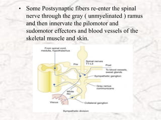 Pilometer autonomic nervous system regarding anesthesia | PDF