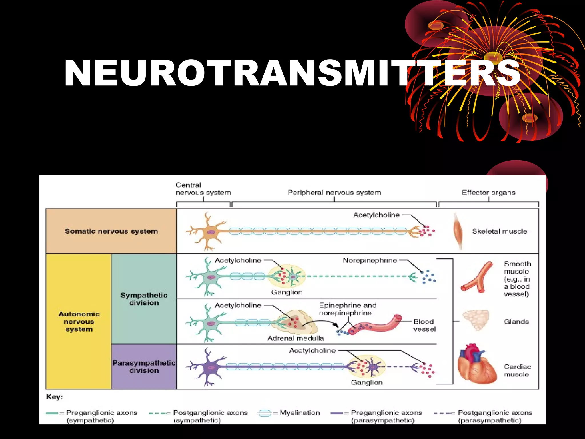 NEUROTRANSMITTERS
 