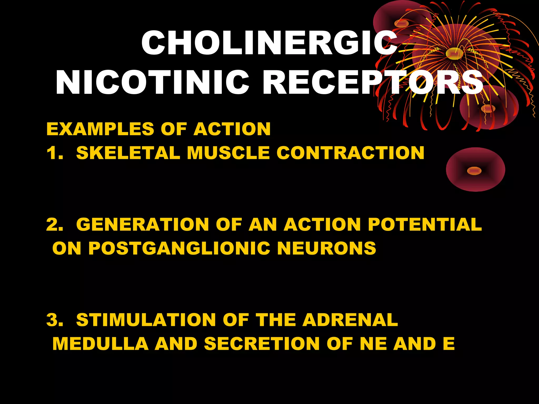 CHOLINERGIC
NICOTINIC RECEPTORS
EXAMPLES OF ACTION
1. SKELETAL MUSCLE CONTRACTION


2. GENERATION OF AN ACTION POTENTIAL
 ON POSTGANGLIONIC NEURONS


3. STIMULATION OF THE ADRENAL
 MEDULLA AND SECRETION OF NE AND E
 