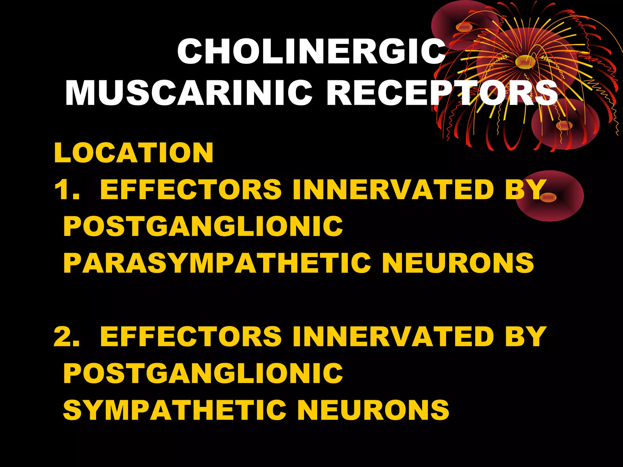 CHOLINERGIC
MUSCARINIC RECEPTORS
LOCATION
1. EFFECTORS INNERVATED BY
 POSTGANGLIONIC
 PARASYMPATHETIC NEURONS

2. EFFECTORS INNERVATED BY
 POSTGANGLIONIC
 SYMPATHETIC NEURONS
 