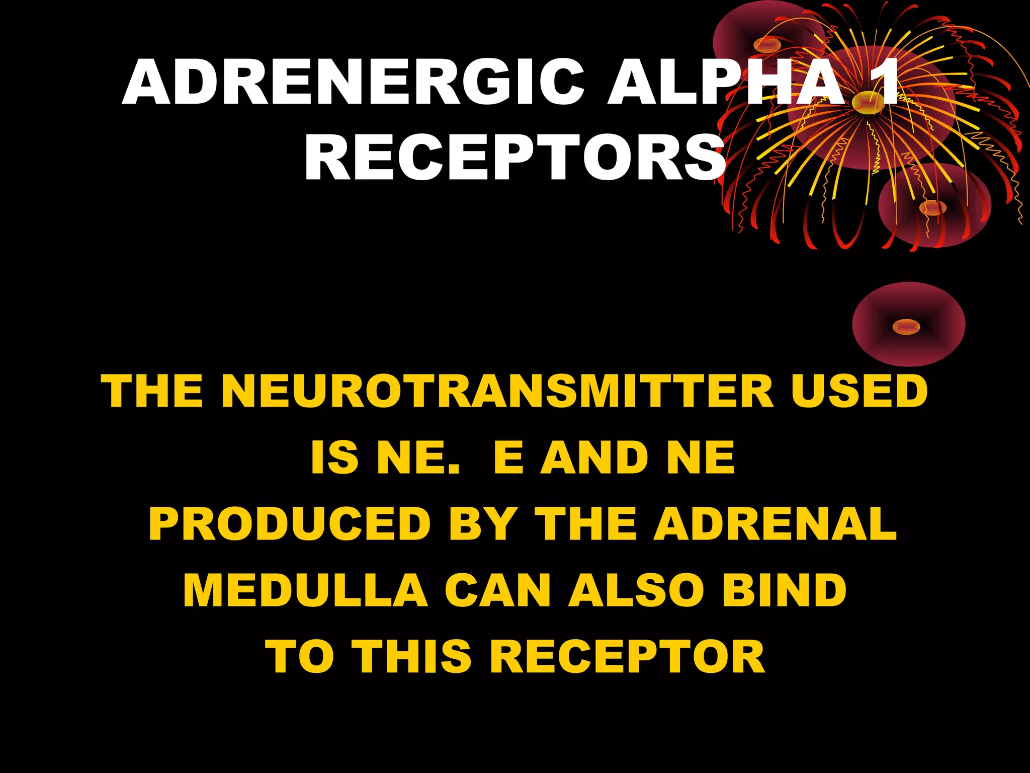 ADRENERGIC ALPHA 1
    RECEPTORS


THE NEUROTRANSMITTER USED
      IS NE. E AND NE
 PRODUCED BY THE ADRENAL
  MEDULLA CAN ALSO BIND
     TO THIS RECEPTOR
 