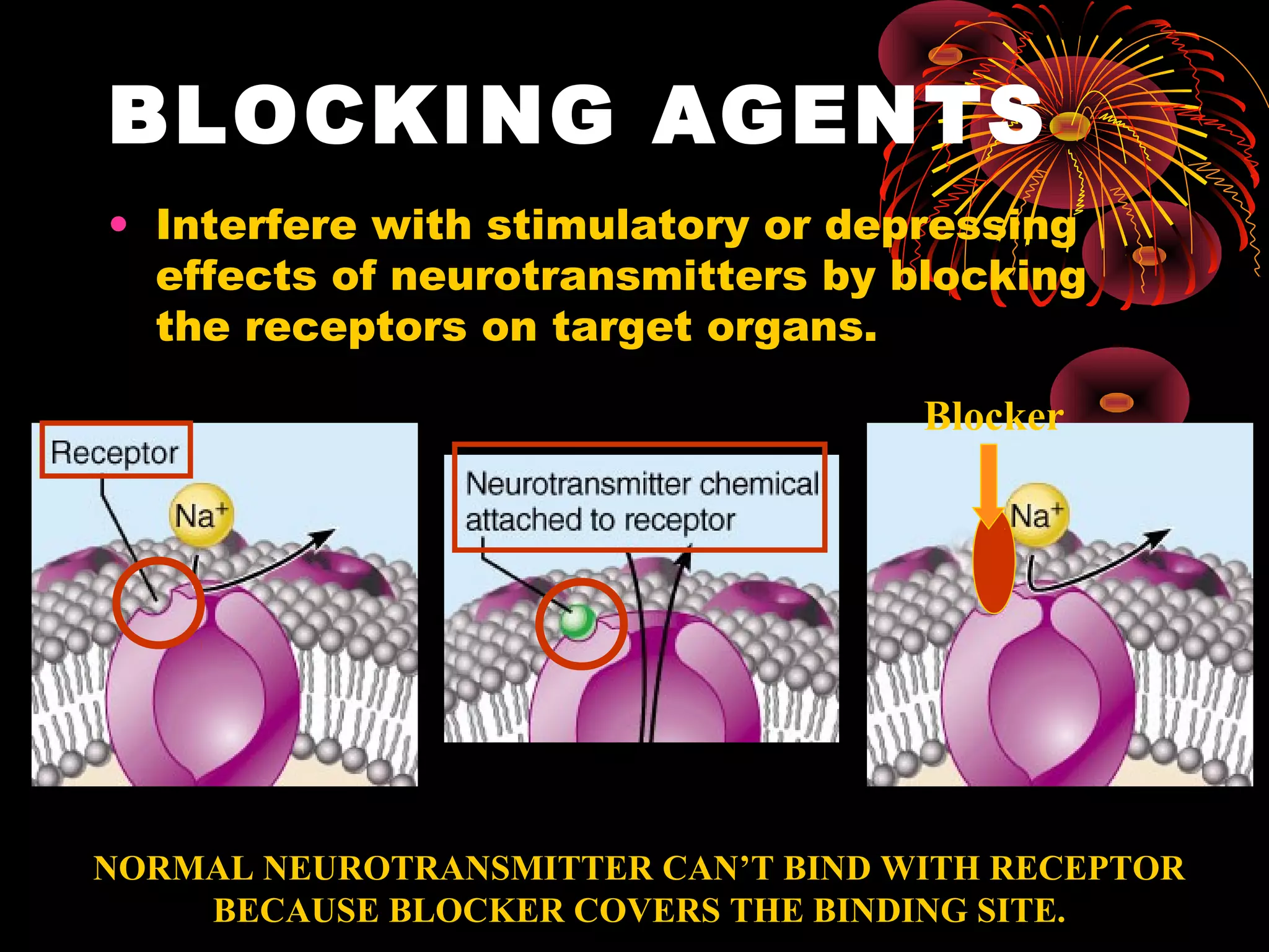 BLOCKING AGENTS
• Interfere with stimulatory or depressing
  effects of neurotransmitters by blocking
  the receptors on target organs.

                                    Blocker




NORMAL NEUROTRANSMITTER CAN’T BIND WITH RECEPTOR
    BECAUSE BLOCKER COVERS THE BINDING SITE.
 