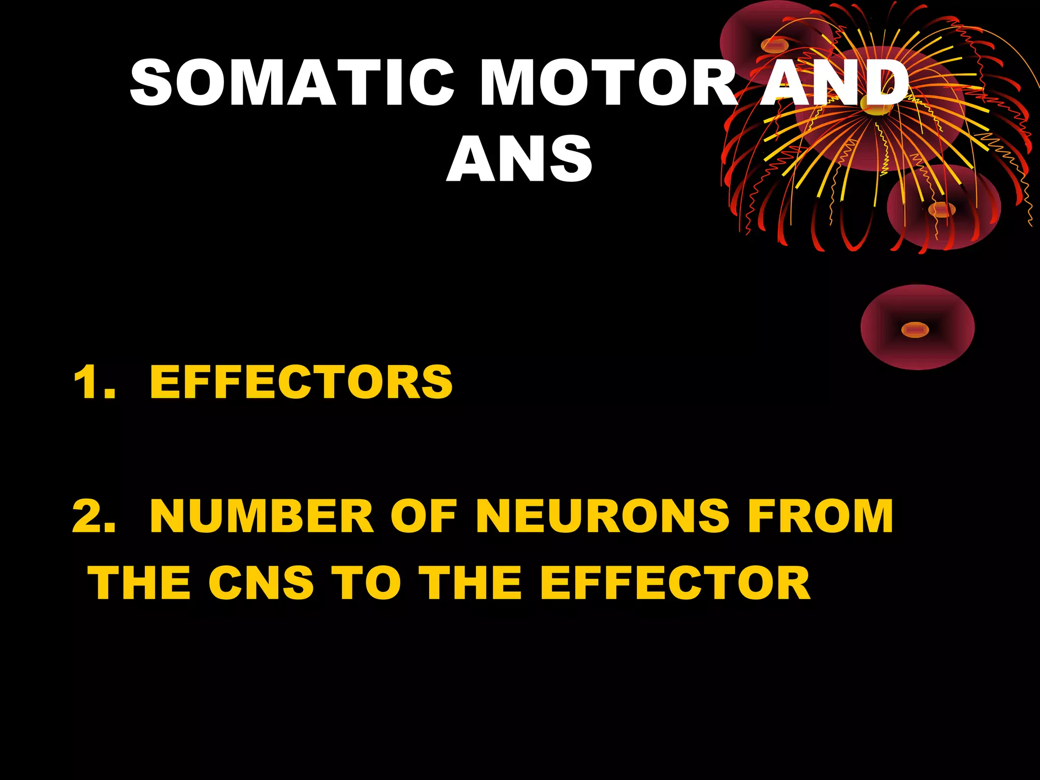 SOMATIC MOTOR AND
        ANS


1. EFFECTORS

2. NUMBER OF NEURONS FROM
 THE CNS TO THE EFFECTOR
 