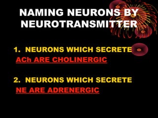 NAMING NEURONS BY
 NEUROTRANSMITTER

1. NEURONS WHICH SECRETE
 ACh ARE CHOLINERGIC

2. NEURONS WHICH SECRETE
 NE ARE ADRENERGIC
 