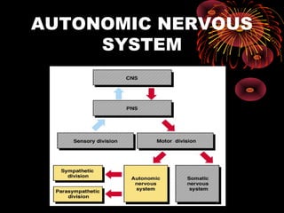 AUTONOMIC NERVOUS
     SYSTEM
 
