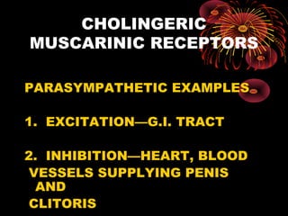 CHOLINGERIC
MUSCARINIC RECEPTORS

PARASYMPATHETIC EXAMPLES

1. EXCITATION—G.I. TRACT

2. INHIBITION—HEART, BLOOD
 VESSELS SUPPLYING PENIS
  AND
 CLITORIS
 