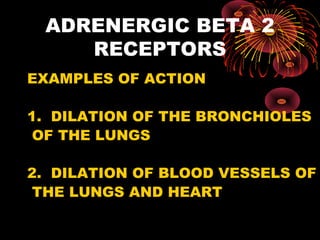 ADRENERGIC BETA 2
    RECEPTORS
EXAMPLES OF ACTION

1. DILATION OF THE BRONCHIOLES
 OF THE LUNGS

2. DILATION OF BLOOD VESSELS OF
 THE LUNGS AND HEART
 