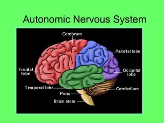 Autonomic Nervous System
 