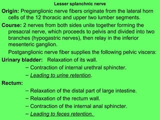 ParasympatheticParasympathetic
PathwaysPathways
Cranial outflow
• CN III, VII, IX, X
• Four ganglia in head
• Vagus nerve ...