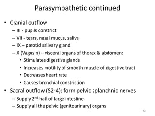 Parasympathetic continued
• Cranial outflow
– III - pupils constrict
– VII - tears, nasal mucus, saliva
– IX – parotid salivary gland
– X (Vagus n) – visceral organs of thorax & abdomen:
• Stimulates digestive glands
• Increases motility of smooth muscle of digestive tract
• Decreases heart rate
• Causes bronchial constriction
• Sacral outflow (S2-4): form pelvic splanchnic nerves
– Supply 2nd half of large intestine
– Supply all the pelvic (genitourinary) organs
12
 