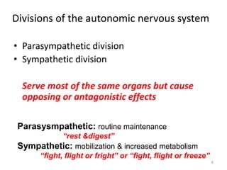 Autonomic Nervous System (1).ppt