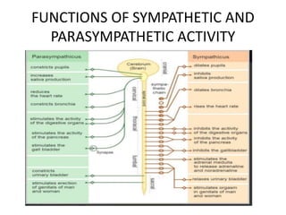 FUNCTIONS OF SYMPATHETIC AND
PARASYMPATHETIC ACTIVITY
 