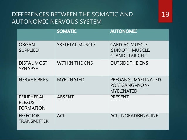 Autonomic nervous system—arrangement, function, pain,visceral sensebi…