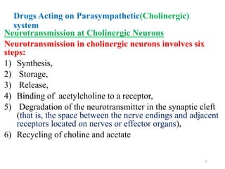 Drugs Acting on Parasympathetic(Cholinergic)
system
Neurotransmission at Cholinergic Neurons
Neurotransmission in cholinergic neurons involves six
steps:
1) Synthesis,
2) Storage,
3) Release,
4) Binding of acetylcholine to a receptor,
5) Degradation of the neurotransmitter in the synaptic cleft
(that is, the space between the nerve endings and adjacent
receptors located on nerves or effector organs),
6) Recycling of choline and acetate
14
 