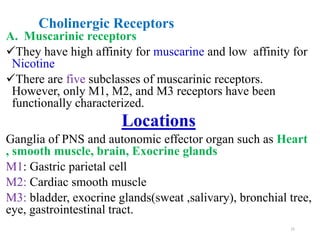 Cholinergic Receptors
A. Muscarinic receptors
They have high affinity for muscarine and low affinity for
Nicotine
There are five subclasses of muscarinic receptors.
However, only M1, M2, and M3 receptors have been
functionally characterized.
Locations
Ganglia of PNS and autonomic effector organ such as Heart
, smooth muscle, brain, Exocrine glands
M1: Gastric parietal cell
M2: Cardiac smooth muscle
M3: bladder, exocrine glands(sweat ,salivary), bronchial tree,
eye, gastrointestinal tract.
15
 