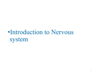 •Introduction to Nervous
system
2
 