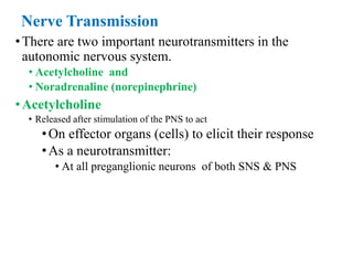 Nerve Transmission
•There are two important neurotransmitters in the
autonomic nervous system.
• Acetylcholine and
• Noradrenaline (norepinephrine)
•Acetylcholine
• Released after stimulation of the PNS to act
•On effector organs (cells) to elicit their response
•As a neurotransmitter:
• At all preganglionic neurons of both SNS & PNS
 