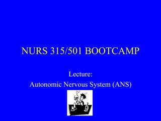 NURS 315/501 BOOTCAMP

            Lecture:
 Autonomic Nervous System (ANS)
 